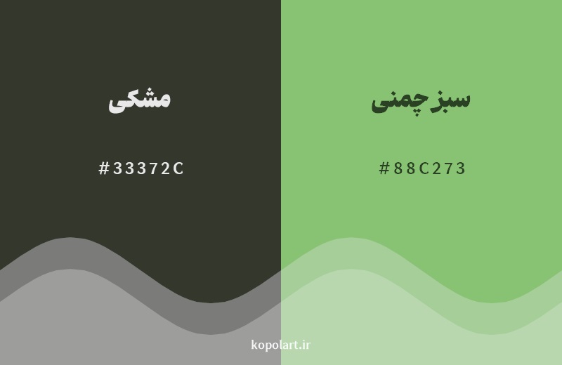 نمایش هارمونی رنگ مشکی در کنار رنگ همسایه آن سبز چمنی