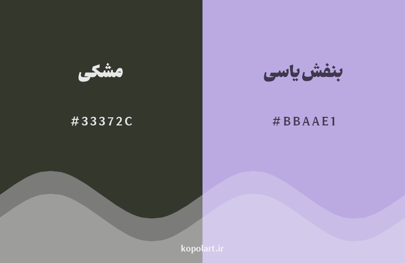رکیب رنگ مشکی در کنار رنگ مکمل آن بنفش یاسی