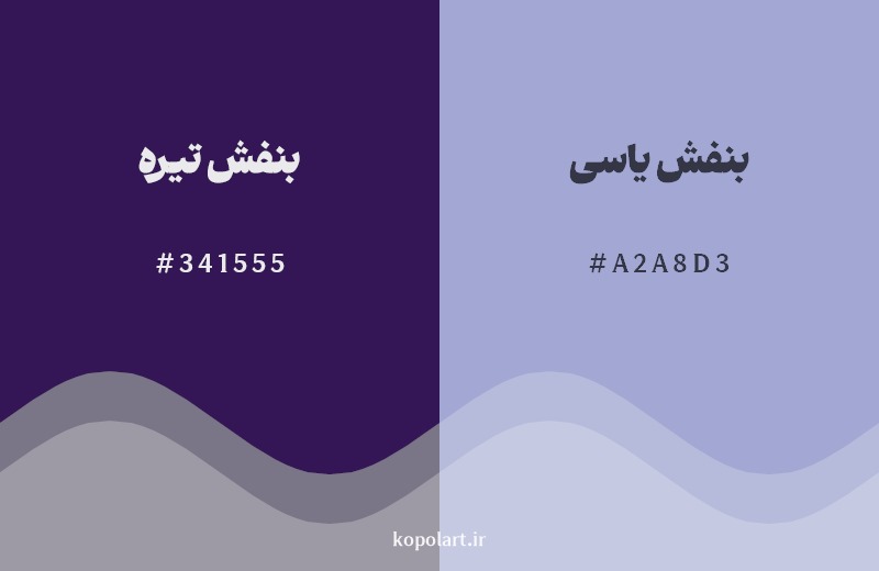نمایش هارمونی رنگ بنفش تیره در کنار رنگ همسایه آن بنفش یاسی
