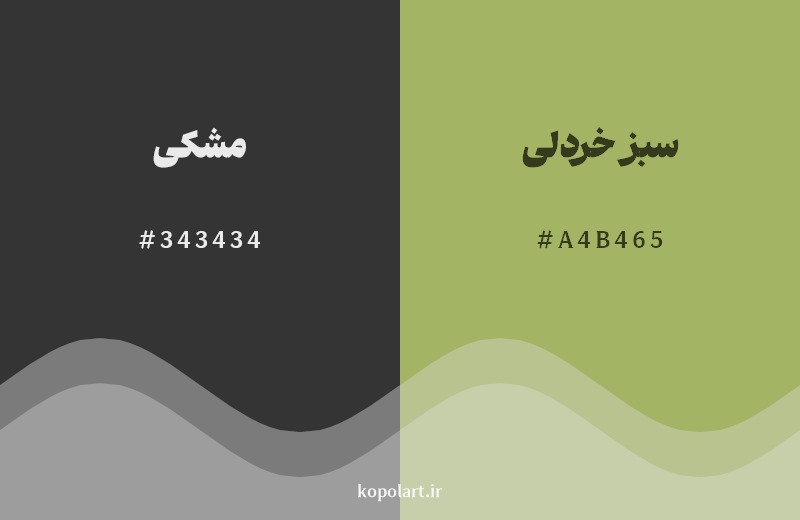 نمایش هارمونی رنگ مشکی در کنار رنگ همسایه آن سبز خردلی
