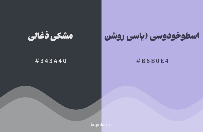 نمایش هارمونی رنگ مشکی ذغالی در کنار رنگ همسایه آن اسطوخودوسی (یاسی روشن)