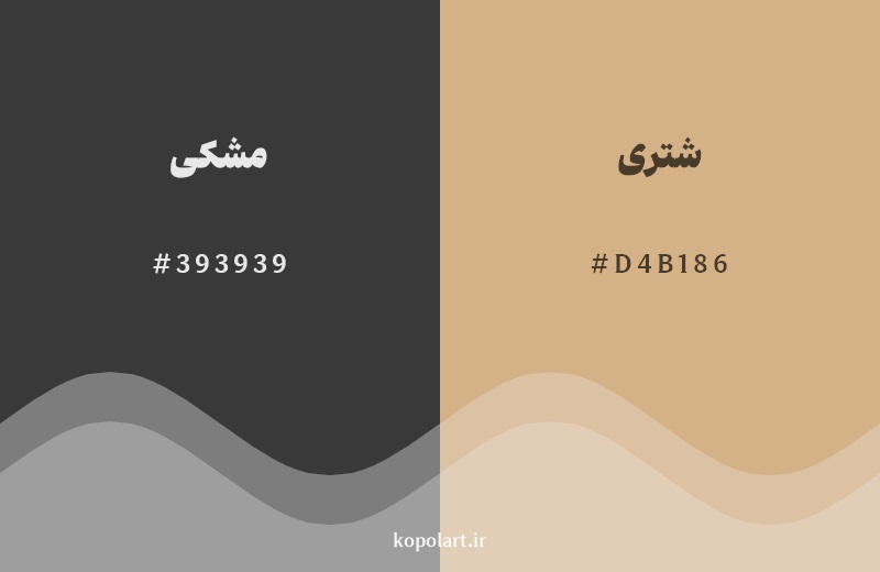 نمایش هارمونی رنگ مشکی در کنار رنگ همسایه آن شتری