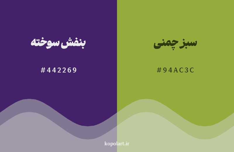ترکیب رنگ بنفش سوخته در کنار رنگ مکمل آن سبز چمنی