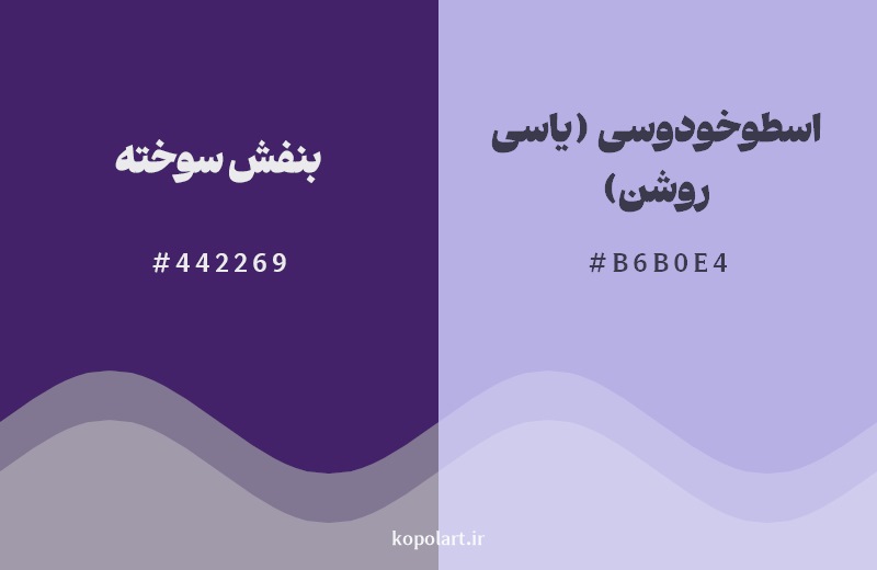 نمایش هارمونی رنگ بنفش سوخته در کنار رنگ همسایه آن اسطوخودوسی (یاسی روشن)