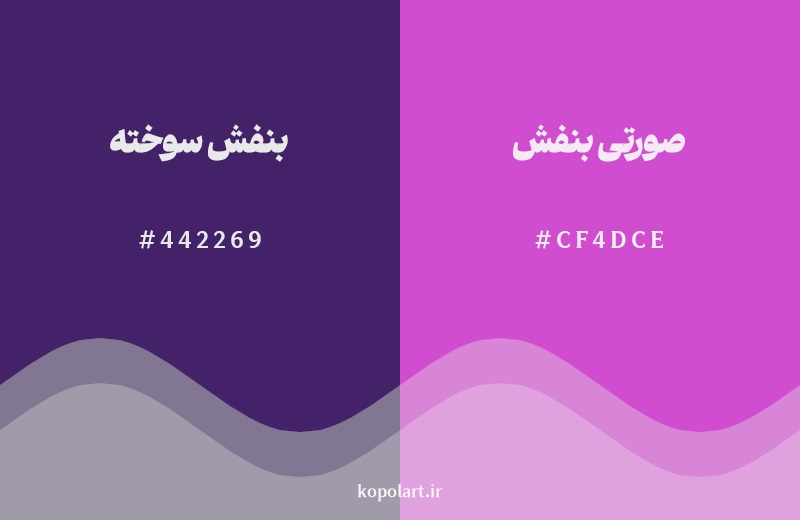 نمایش هارمونی رنگ بنفش سوخته در کنار رنگ همسایه آن صورتی بنفش