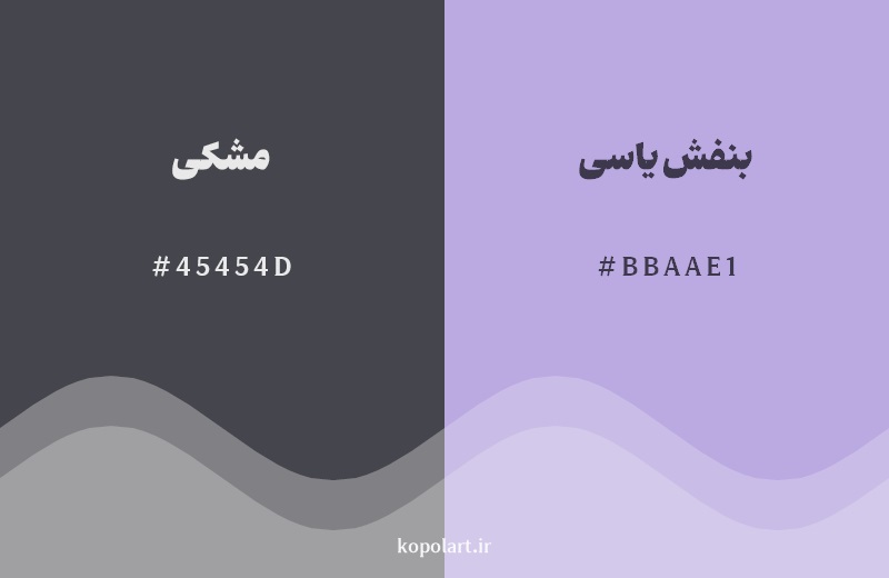 نمایش هارمونی رنگ مشکی در کنار رنگ همسایه آن بنفش یاسی