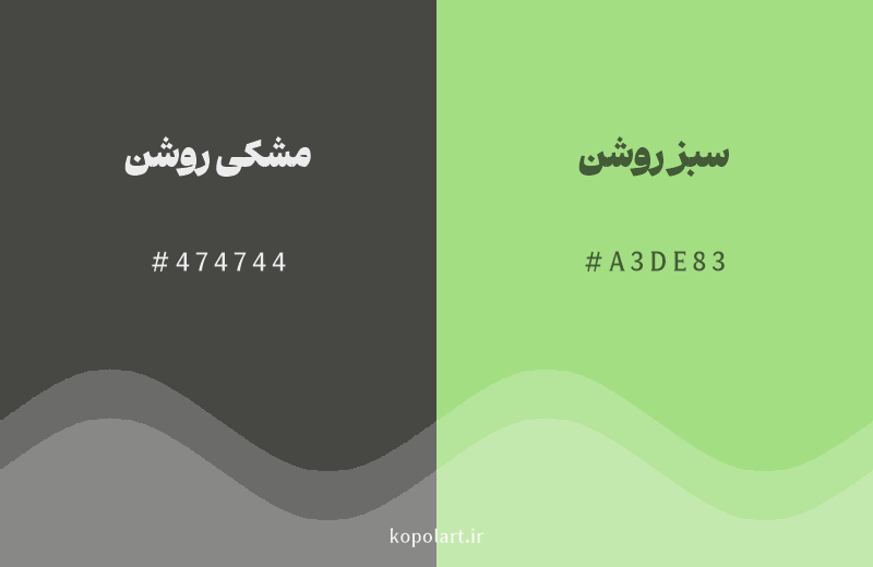 رنگ همسایه مشکی روشن با کد هگزادسیمال 474744، رنگ سبز روشن با کد A3DE83