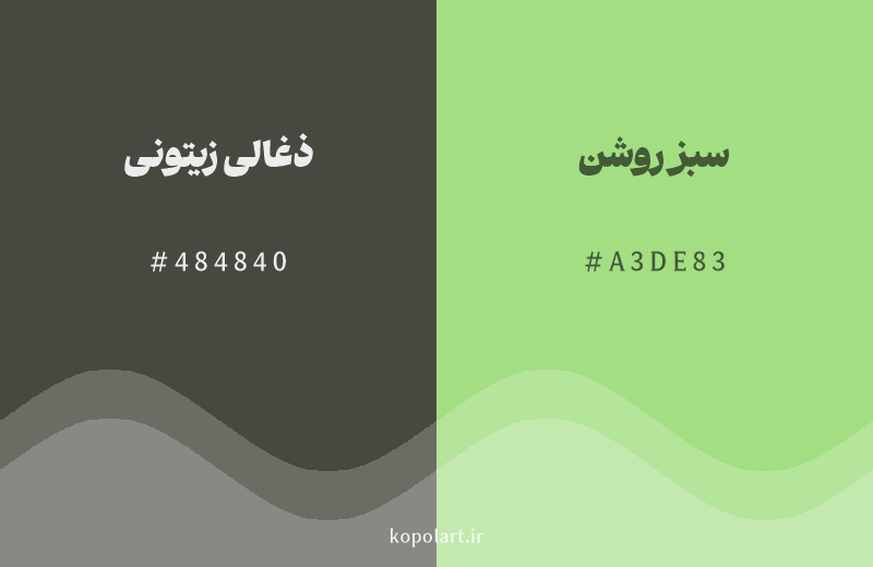 رنگ همسایه ذغالی زیتونی با کد هگزادسیمال 484840، رنگ سبز روشن با کد A3DE83