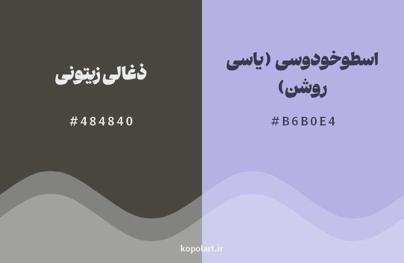 ترکیب رنگ ذغالی زیتونی در کنار رنگ مکمل آن اسطوخودوسی (یاسی روشن)