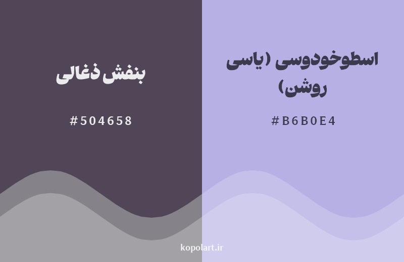 نمایش هارمونی رنگ بنفش ذغالی در کنار رنگ همسایه آن اسطوخودوسی (یاسی روشن)