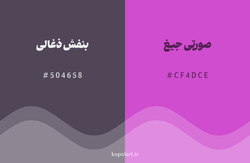 رنگ همسایه بنفش ذغالی با کد هگزادسیمال 504658، رنگ صورتی جیغ با کد CF4DCE