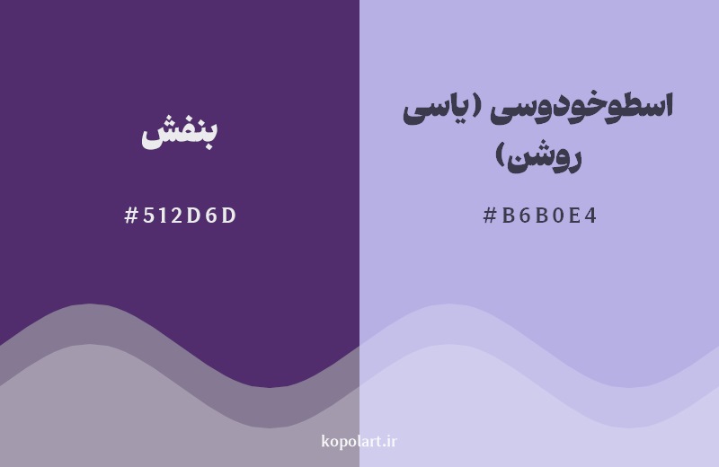 نمایش هارمونی رنگ بنفش در کنار رنگ همسایه آن اسطوخودوسی (یاسی روشن)