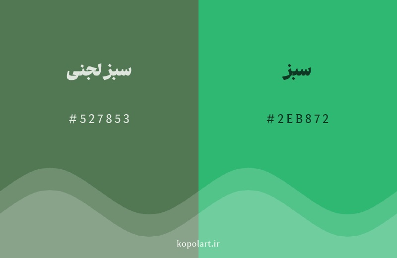 رنگ همسایه سبز لجنی با کد هگزادسیمال 527853، رنگ سبز با کد 2EB872