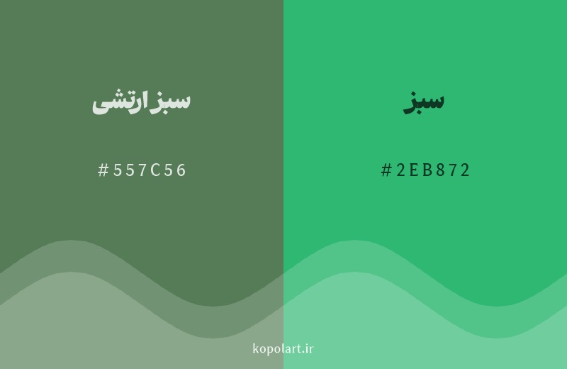 رنگ همسایه سبز ارتشی با کد هگزادسیمال 557C56، رنگ سبز با کد 2EB872