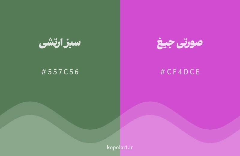 رنگ مکمل سبز ارتشی با کد هگزادسیمال 557C56، رنگ صورتی جیغ با کد CF4DCE