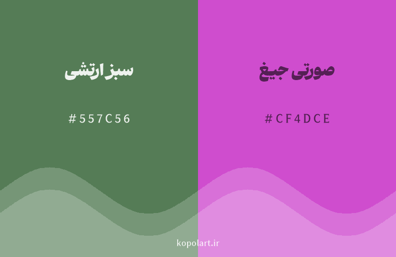 رنگ مکمل سبز ارتشی با کد هگزادسیمال 557C56، رنگ صورتی جیغ با کد CF4DCE