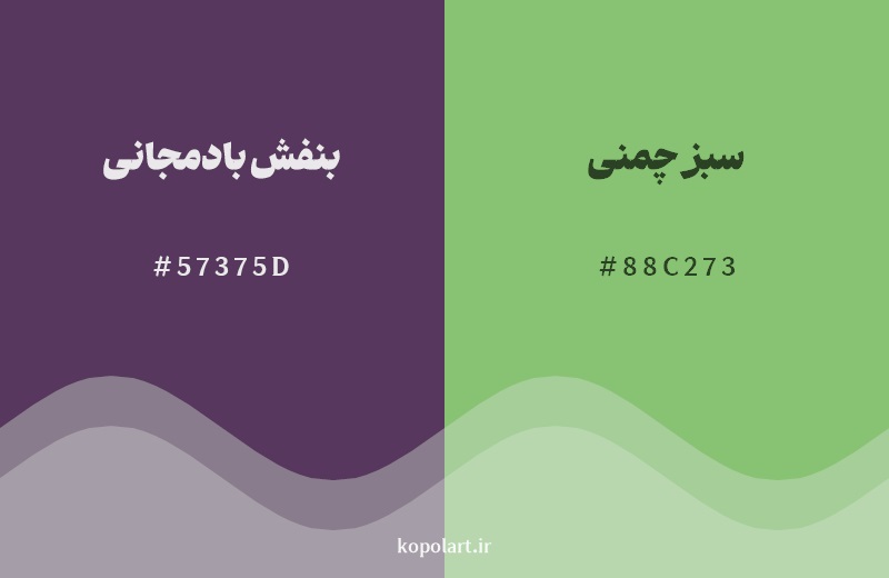 رکیب رنگ بنفش بادمجانی در کنار رنگ مکمل آن سبز چمنی