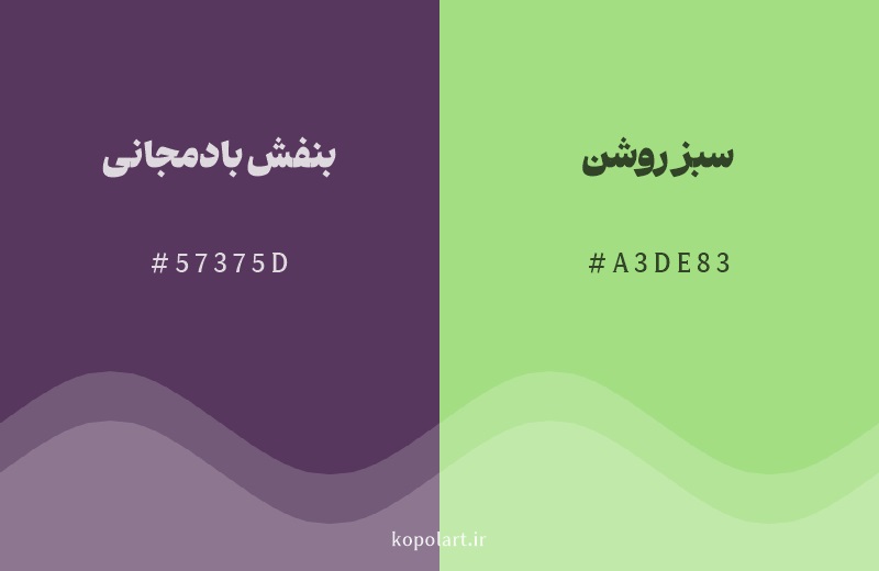 رنگ مکمل بنفش بادمجانی با کد هگزادسیمال 57375D، رنگ سبز روشن با کد A3DE83