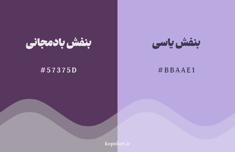 نمایش هارمونی رنگ بنفش بادمجانی در کنار رنگ همسایه آن بنفش یاسی