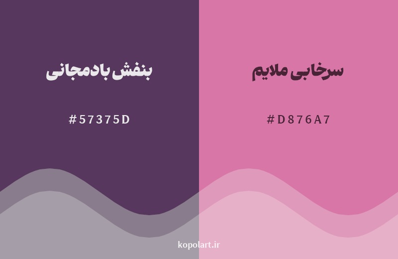 نمایش هارمونی رنگ بنفش بادمجانی در کنار رنگ همسایه آن سرخابی ملایم