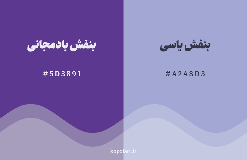 نمایش هارمونی رنگ بنفش بادمجانی در کنار رنگ همسایه آن بنفش یاسی