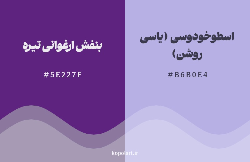 نمایش هارمونی رنگ بنفش ارغوانی تیره در کنار رنگ همسایه آن اسطوخودوسی (یاسی روشن)