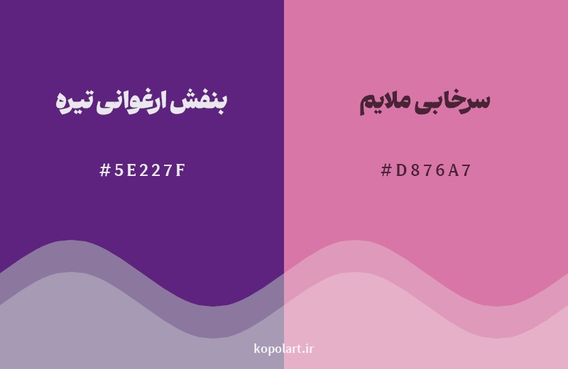 نمایش هارمونی رنگ بنفش ارغوانی تیره در کنار رنگ همسایه آن سرخابی ملایم