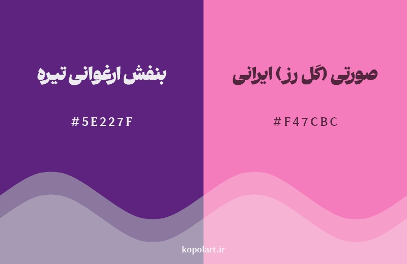 نمایش هارمونی رنگ بنفش ارغوانی تیره در کنار رنگ همسایه آن صورتی (گل رز) ایرانی