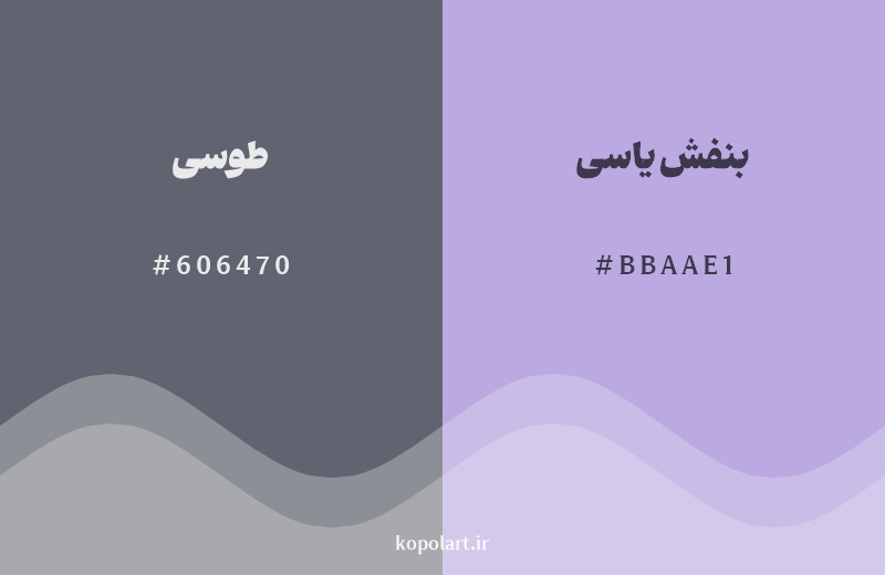 نمایش هارمونی رنگ طوسی در کنار رنگ همسایه آن بنفش یاسی
