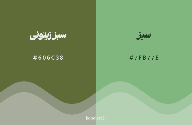 نمایش هارمونی رنگ سبز زیتونی در کنار رنگ همسایه آن سبز
