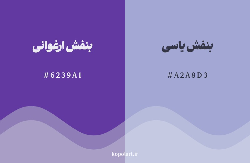 نمایش هارمونی رنگ بنفش ارغوانی در کنار رنگ همسایه آن بنفش یاسی