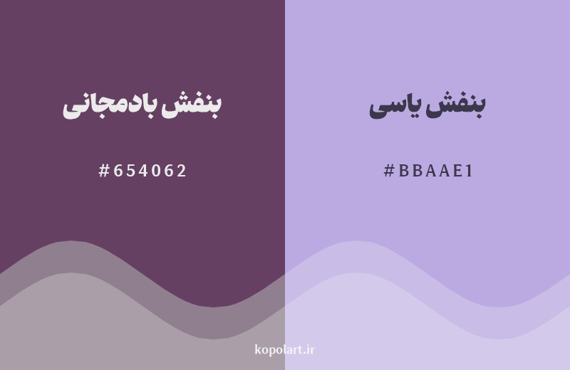 نمایش هارمونی رنگ بنفش بادمجانی در کنار رنگ همسایه آن بنفش یاسی