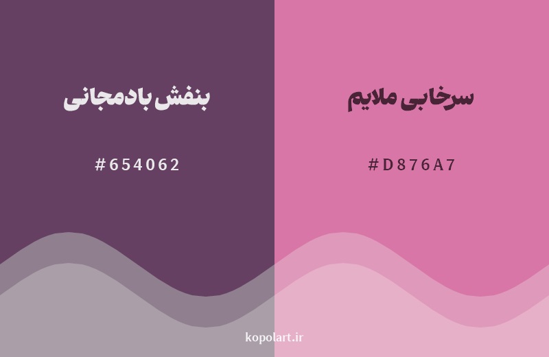 نمایش هارمونی رنگ بنفش بادمجانی در کنار رنگ همسایه آن سرخابی ملایم
