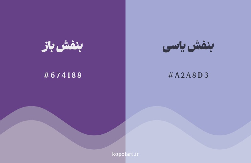 نمایش هارمونی رنگ بنفش باز در کنار رنگ همسایه آن بنفش یاسی