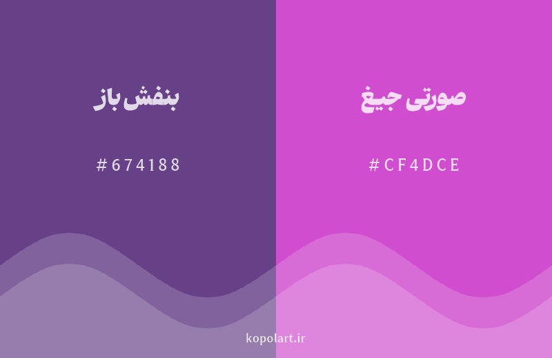 رنگ همسایه بنفش باز با کد هگزادسیمال 674188، رنگ صورتی جیغ با کد CF4DCE