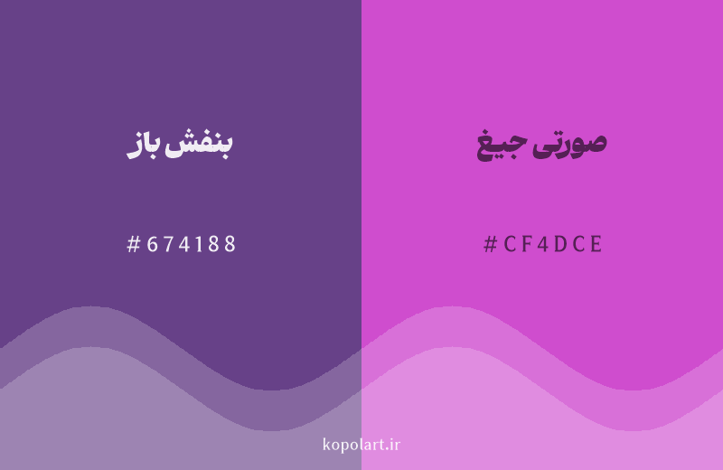 رنگ همسایه بنفش باز با کد هگزادسیمال 674188، رنگ صورتی جیغ با کد CF4DCE
