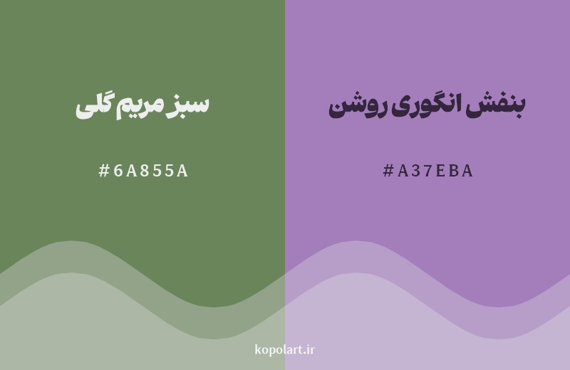 ترکیب رنگ سبز مریم گلی در کنار رنگ مکمل آن بنفش انگوری روشن
