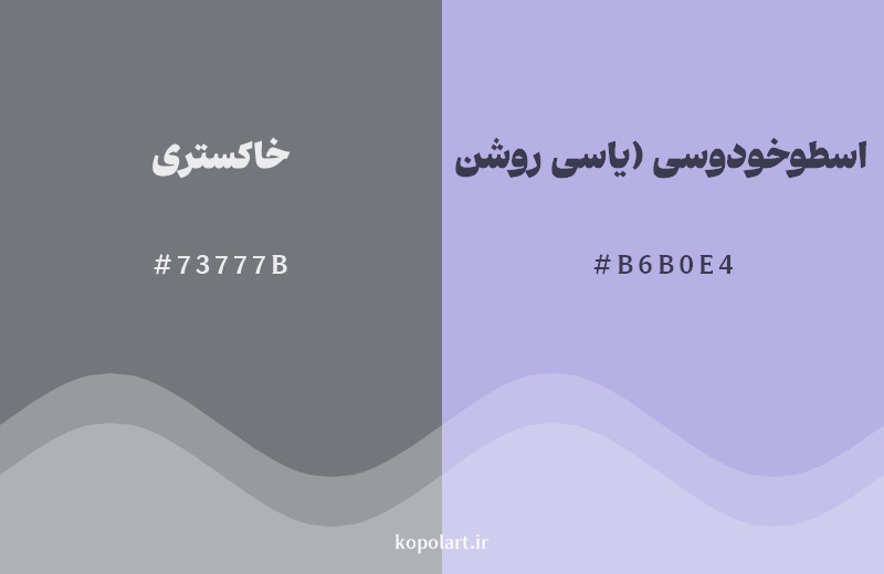 نمایش هارمونی رنگ خاکستری در کنار رنگ همسایه آن اسطوخودوسی (یاسی روشن)