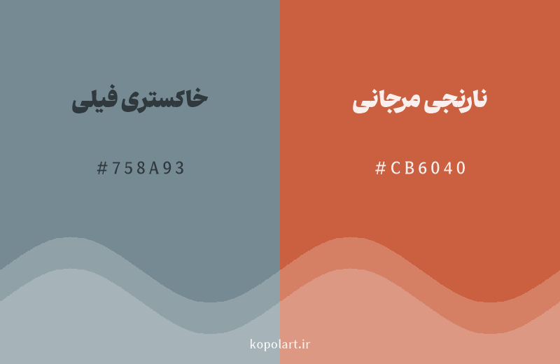 رنگ مکمل خاکستری فیلی با کد هگزادسیمال 758A93، رنگ نارنجی مرجانی با کد CB6040