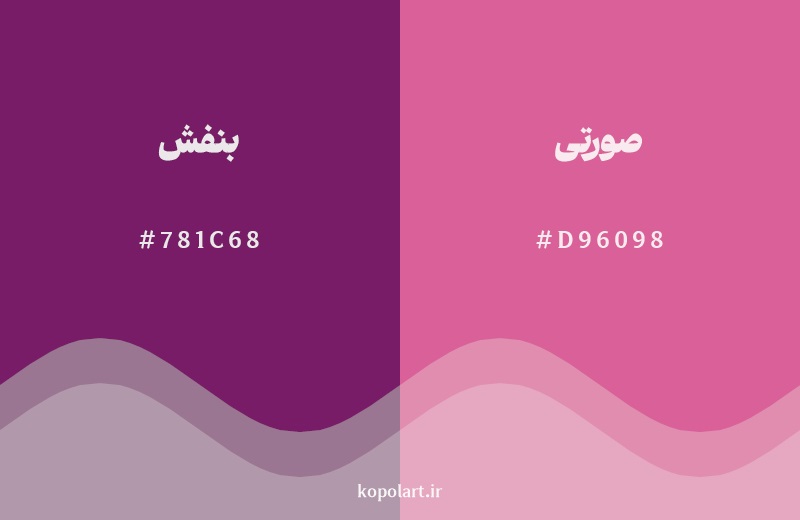 نمایش هارمونی رنگ بنفش در کنار رنگ همسایه آن صورتی