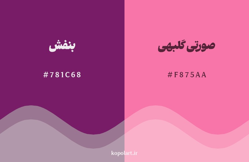 نمایش هارمونی رنگ بنفش در کنار رنگ همسایه آن صورتی گلبهی