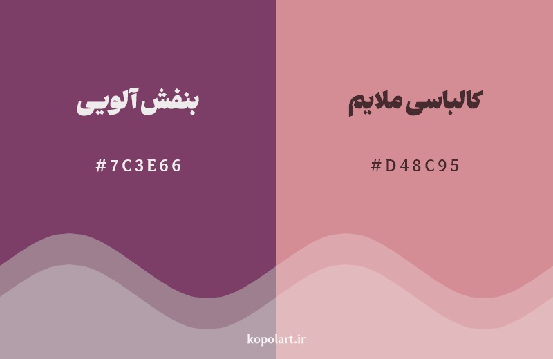 نمایش هارمونی رنگ بنفش آلویی در کنار رنگ همسایه آن کالباسی ملایم