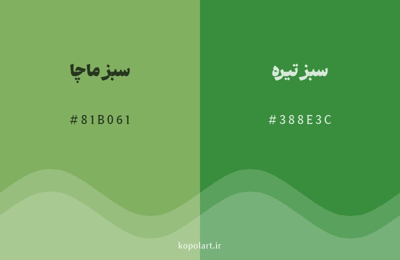 رنگ همسایه سبز ماچا با کد هگزادسیمال 81B061، رنگ سبز تیره با کد 388E3C