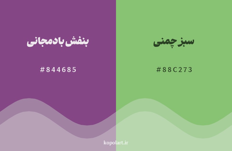 رکیب رنگ بنفش بادمجانی در کنار رنگ مکمل آن سبز چمنی