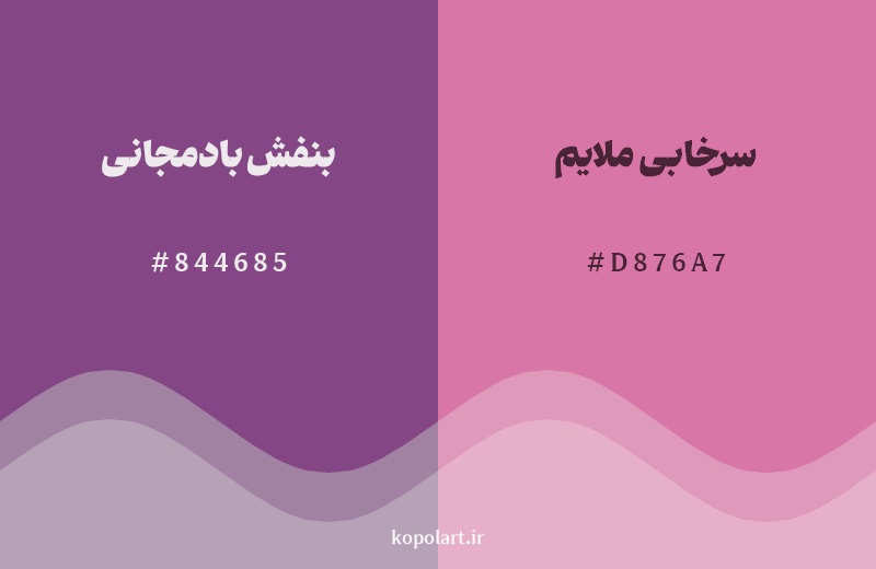 نمایش هارمونی رنگ بنفش بادمجانی در کنار رنگ همسایه آن سرخابی ملایم