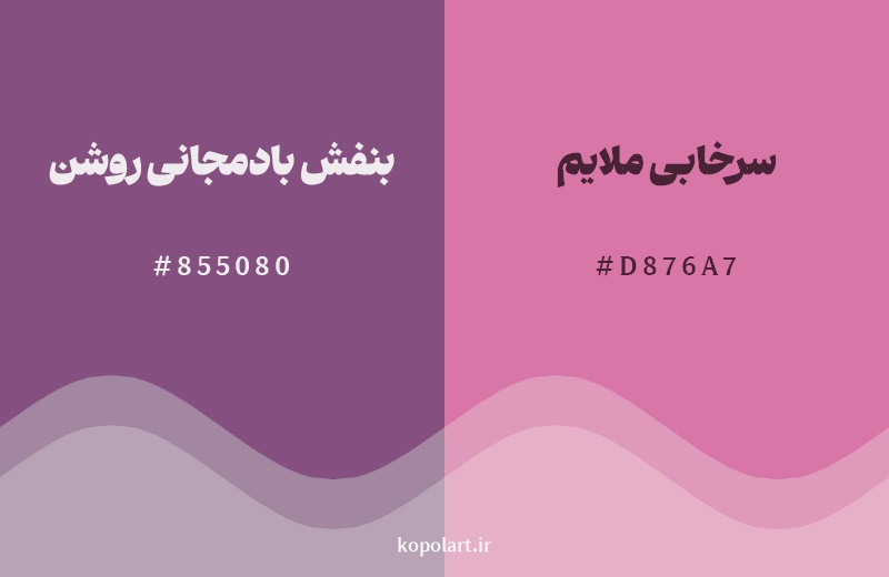 نمایش هارمونی رنگ بنفش بادمجانی روشن در کنار رنگ همسایه آن سرخابی ملایم