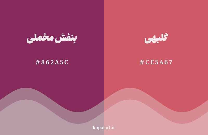 نمایش هارمونی رنگ بنفش مخملی در کنار رنگ همسایه آن گلبهی