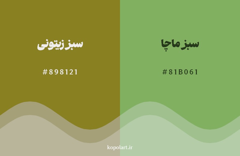 نمایش هارمونی رنگ سبز زیتونی در کنار رنگ همسایه آن سبز ماچا