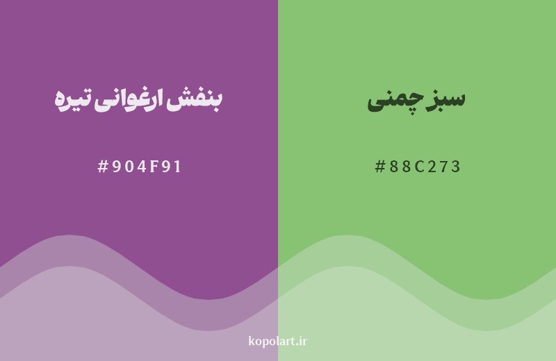 رکیب رنگ بنفش ارغوانی تیره در کنار رنگ مکمل آن سبز چمنی