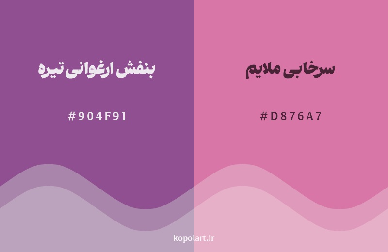 نمایش هارمونی رنگ بنفش ارغوانی تیره در کنار رنگ همسایه آن سرخابی ملایم